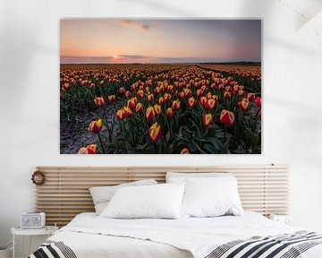 Typische holländische Tulpenfelder - rote / gelbe Tulpen von Thijs van den Broek