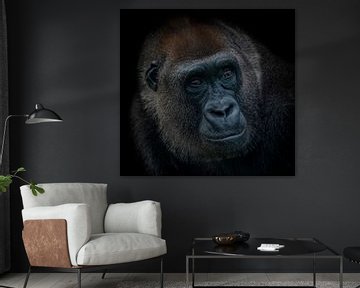 Dark Animal Portait gorilla van Ron Meijer Photo-Art