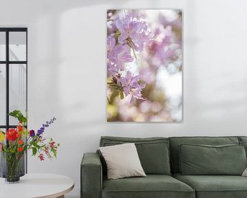 Weißer Rhododendron Mönchengladbach van Nicolas Lebeau