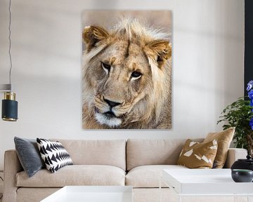 Portret van een jonge leeuw van victor van bochove
