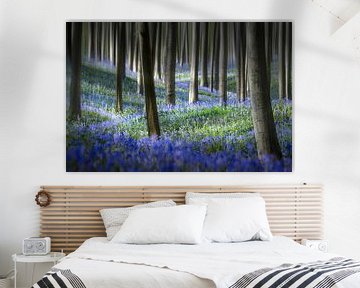 Hyacinth Dream van Rob Visser