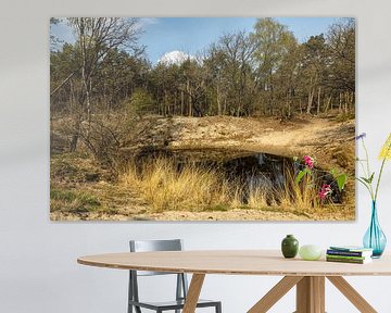 Drunense duinen bij Giersbergen 10 van Carin IJpelaar