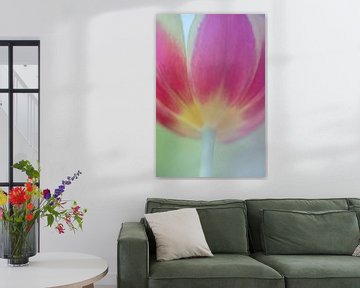 Tulip Art by Deez, Tulpen in Nederland van Desiree Adam-Vaassen