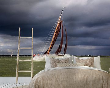 Lemsteraak in storm by Hielke Roelevink