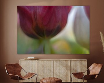 Tulip Art by Deez, Tulpen in Nederland sur Desiree Adam-Vaassen