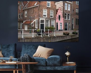 Het roze huisje in Leiden van Elles Rijsdijk