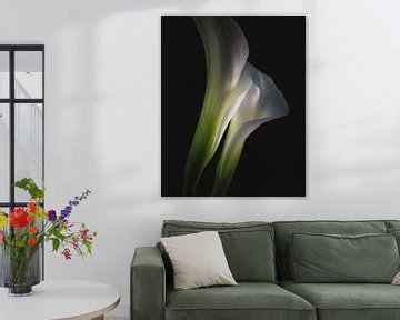 Together as one Calla Lily flowers dark & moody van Sandra Hazes