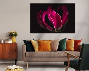 Flammende Lilienblüte von Sandra Hazes