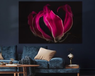 Flame lily flower dark & moody