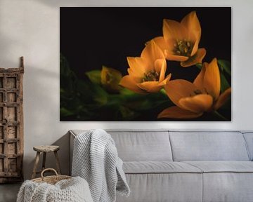 Little orange flowers dark & moody van Sandra Hazes