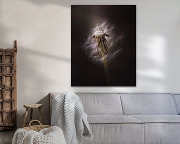Dandelion beauty van Sandra Hazes