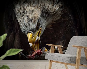 Der Weißkopfseeadler von Natascha Worseling