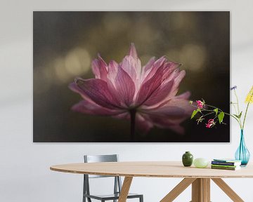 Pink flower beauty dark & moody van Sandra Hazes