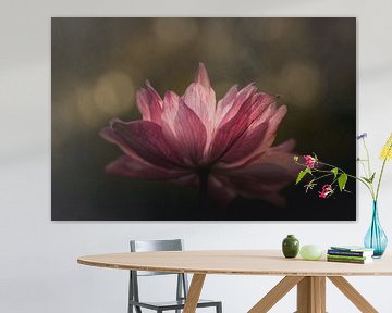 Pink flower beauty van Sandra Hazes