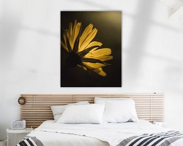 Floral yellow van Sandra Hazes