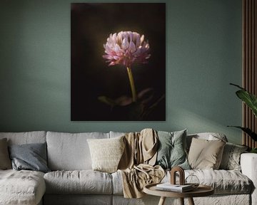 Just perfect clover flower dark & moody van Sandra Hazes