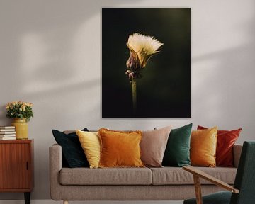 Light inside van Sandra Hazes