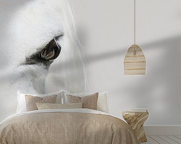 High Key Close-up: The Elegance and Purity of a Beautiful White Horse by Elianne van Turennout