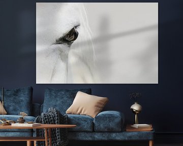 The white horse van Elianne van Turennout