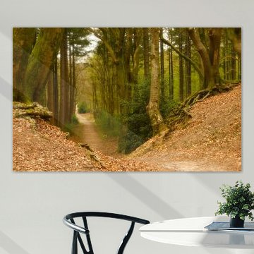 Dromerig bospad in nederland