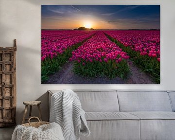 Tulpen bollenveld in Noord Holland van Arjan Battjes