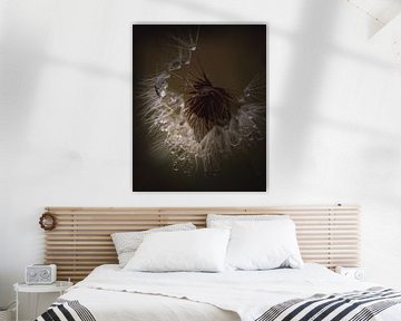 Droplet dandelion dark & moody van Sandra Hazes