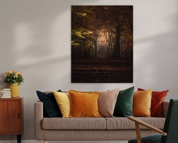 Autumn forest dark & moody van Sandra Hazes