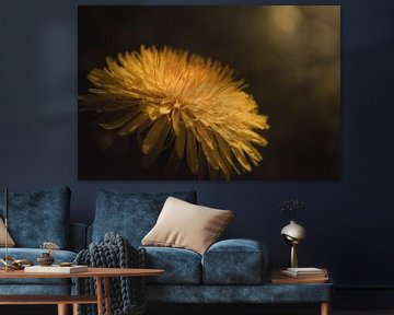 Dandelion details dark & moody van Sandra Hazes