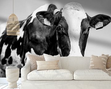 Dutch pride by Astrid Volten