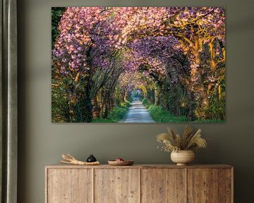 Pink road 1 van Bart Ceuppens