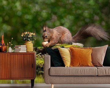 Squirrel with nut. by Tanja van Beuningen