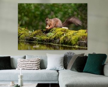 Écureuil avec noix sur Tanja van Beuningen