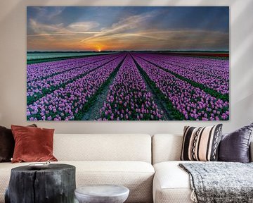 Tulpen op Texel von Texel360Fotografie Richard Heerschap