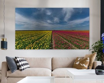 Tulpen op Texel von Texel360Fotografie Richard Heerschap