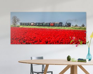 Stoomtrein naar Medemblik von peterheinspictures