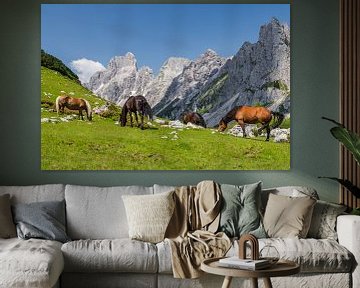 Horses in the mountains