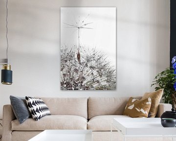 a soaring dandelion seed by Elianne van Turennout