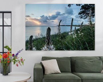 Plantes à fleurs sur la route cotière aux Grands Sables, Belle Ile en Mer, France sur Arthur Puls Photography