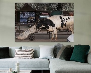 The Holy Cow van Jan-Willem van Vulpen