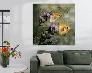 Schmetterlinge an einer Pflanze von Carla van Zomeren