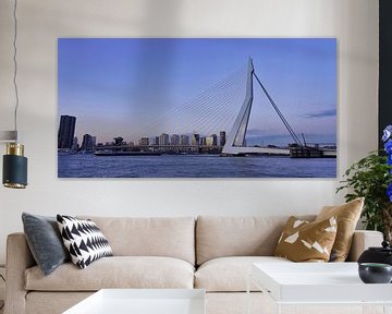 Erasmusbrug - Rotterdam van Gerard Van Delft