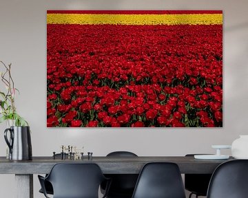 Tulip fields von Erika Gallegos