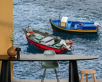 Fishing boats in Camara de Lobos on the island Madeira, Portugal van Rico Ködder