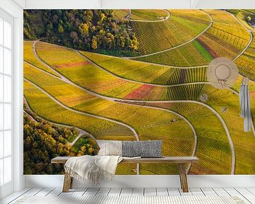 Aerial photography of vineyards near Stuttgart by Werner Dieterich