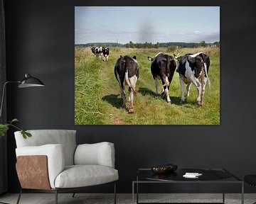 Koeien van Jaap Lagendijk