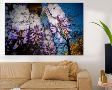 Bloemen