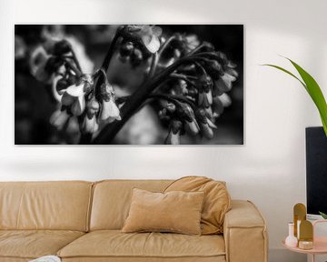 Bloemen