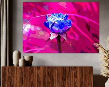 Blauwe roos / Blue rose/ Blaue rose/ Rose bleue van Joke Gorter