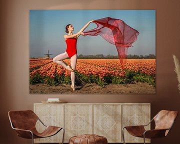 Ballerina 1 von peterheinspictures