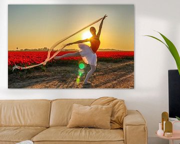 Ballerina in de zon by peterheinspictures